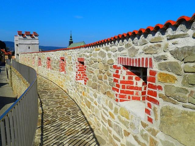 Apartmanystocklova2 Bardejov Bagian luar foto